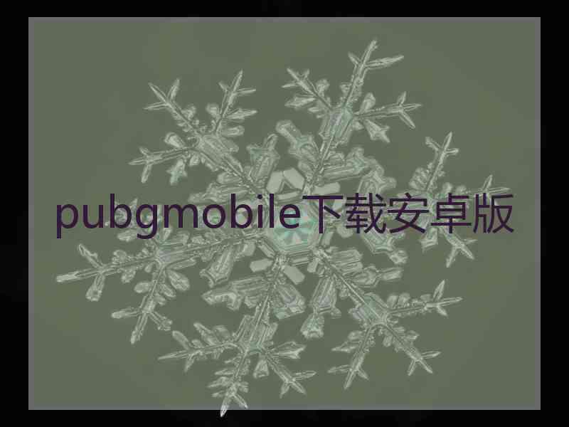 pubgmobile下载安卓版