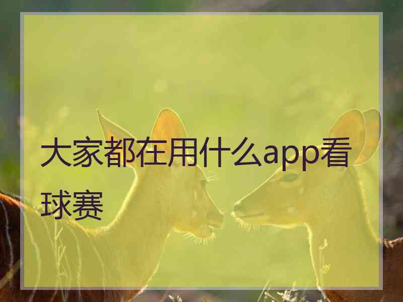 大家都在用什么app看球赛