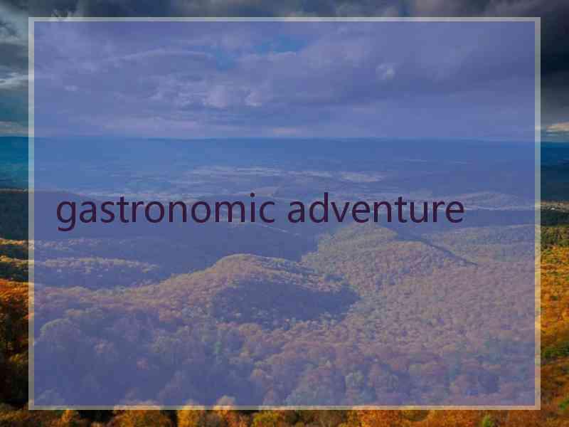 gastronomic adventure