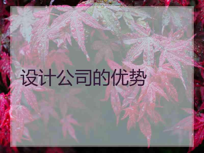 设计公司的优势