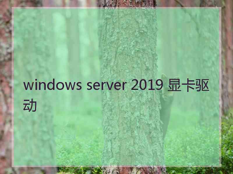 windows server 2019 显卡驱动