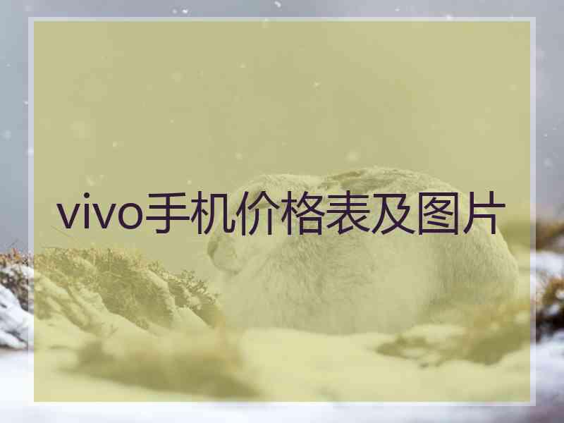 vivo手机价格表及图片