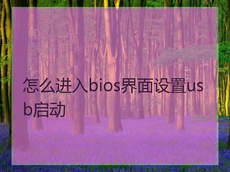 怎么进入bios界面设置usb启动