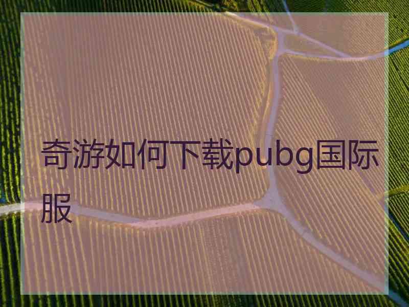 奇游如何下载pubg国际服