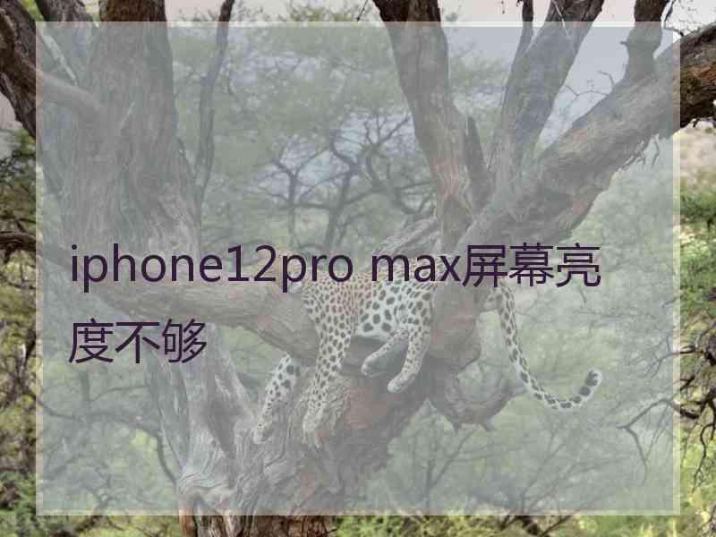 iphone12pro max屏幕亮度不够