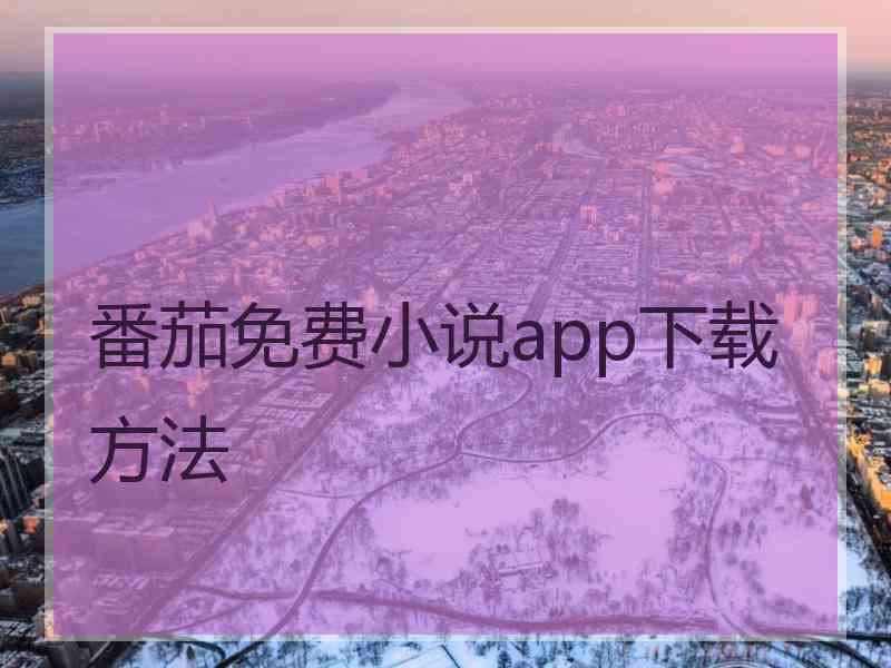 番茄免费小说app下载方法