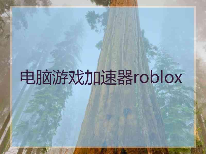 电脑游戏加速器roblox