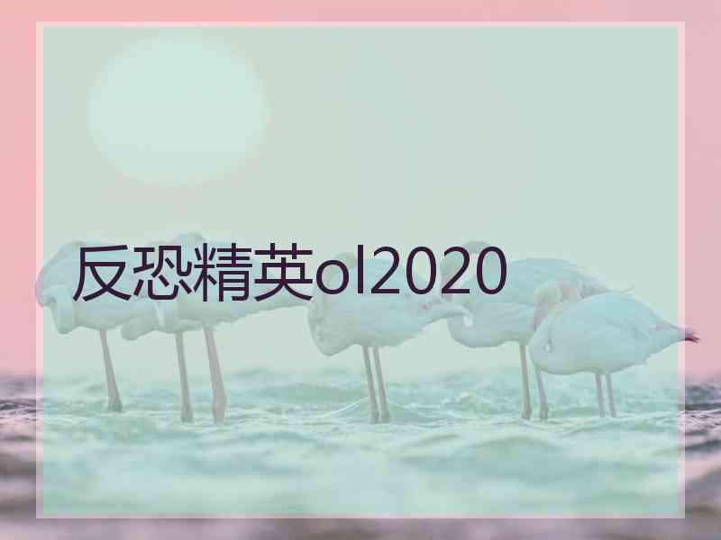 反恐精英ol2020