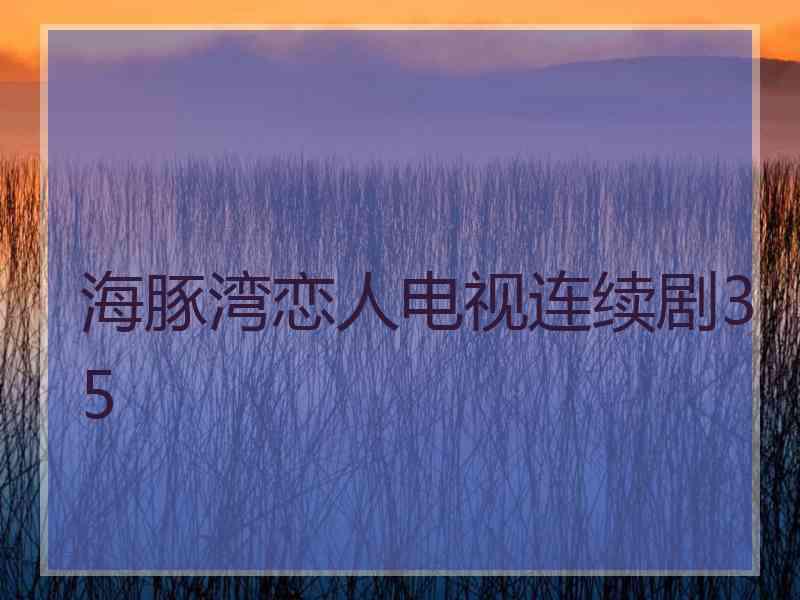 海豚湾恋人电视连续剧35