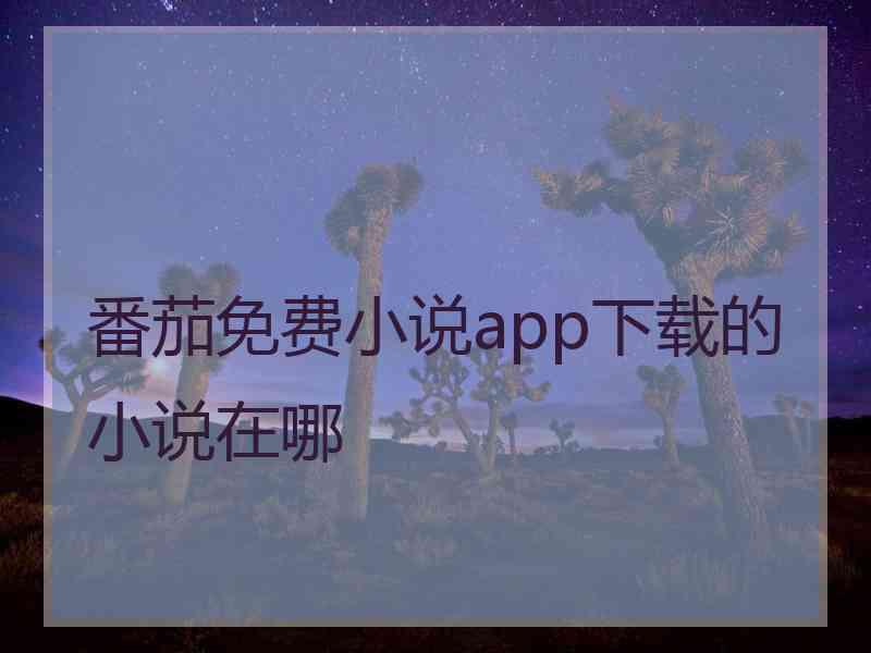 番茄免费小说app下载的小说在哪