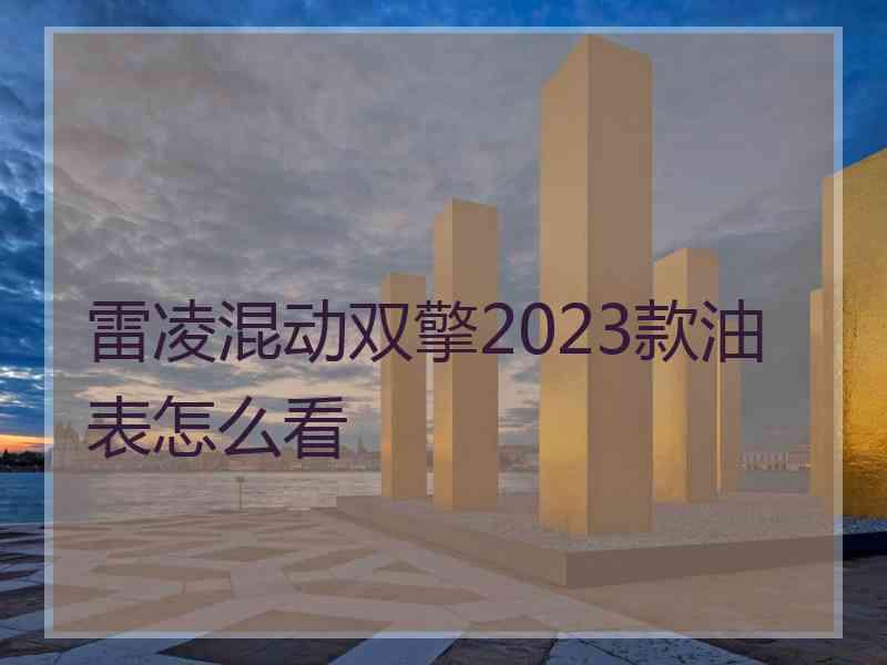 雷凌混动双擎2023款油表怎么看