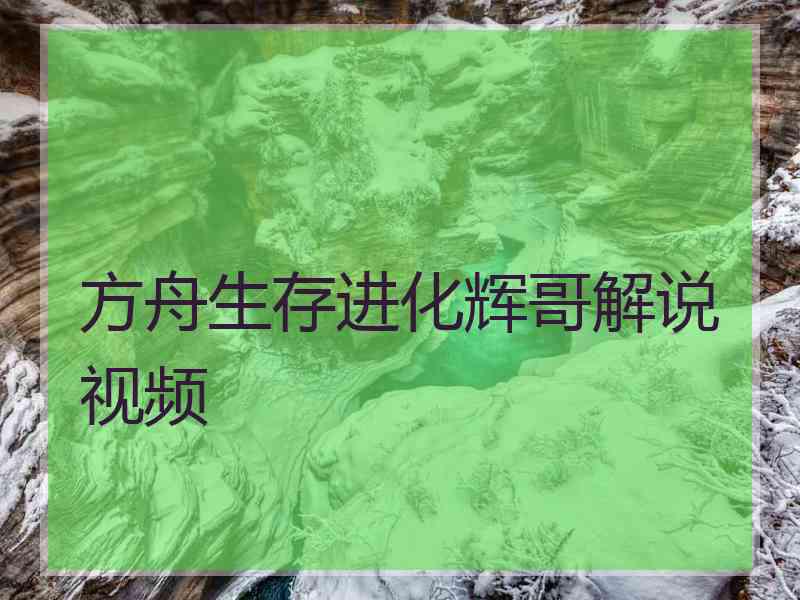 方舟生存进化辉哥解说视频