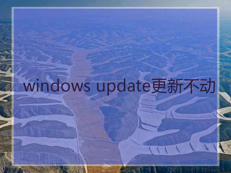 windows update更新不动