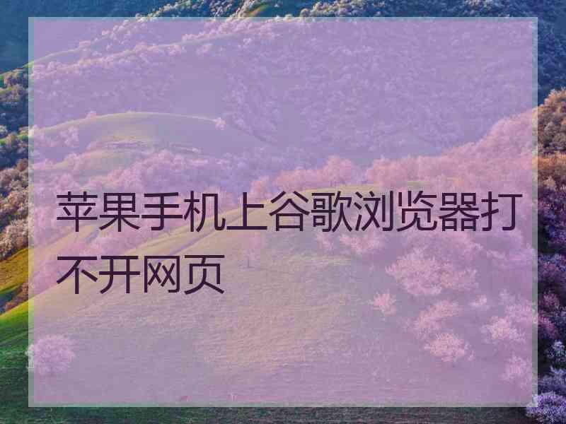 苹果手机上谷歌浏览器打不开网页