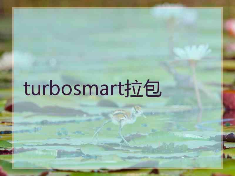 turbosmart拉包