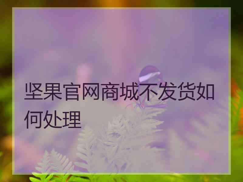 坚果官网商城不发货如何处理