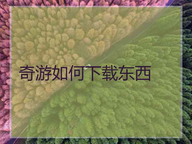 奇游如何下载东西