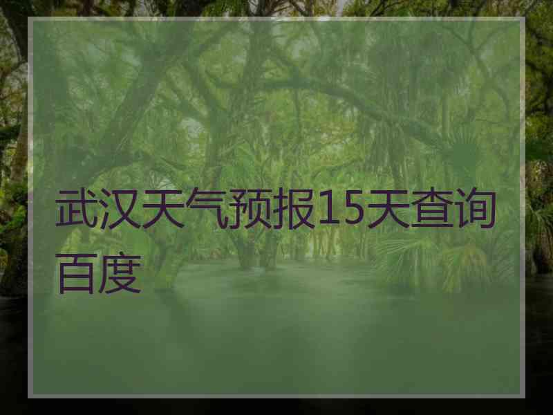 武汉天气预报15天查询百度