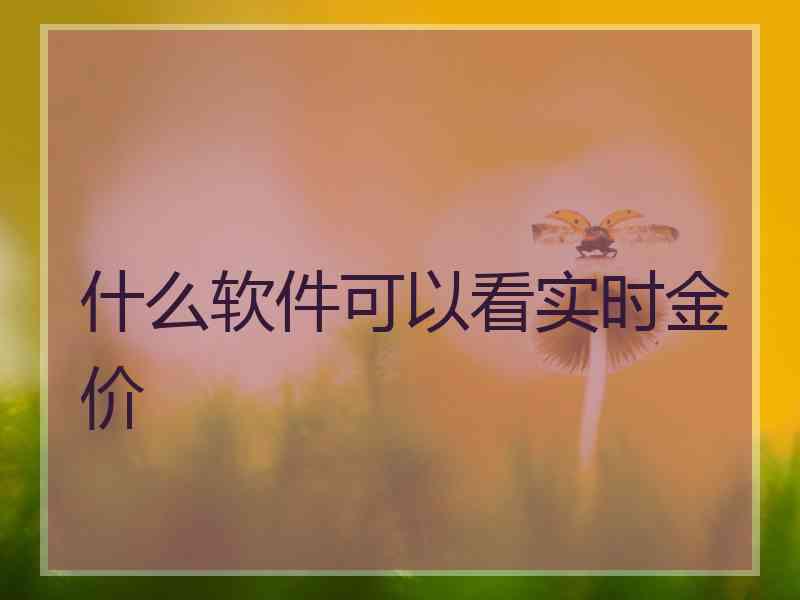 什么软件可以看实时金价