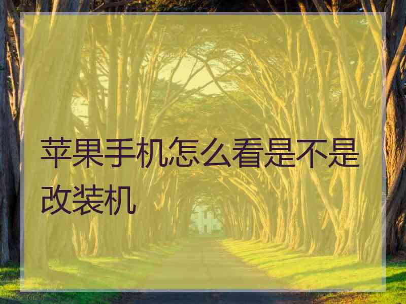 苹果手机怎么看是不是改装机