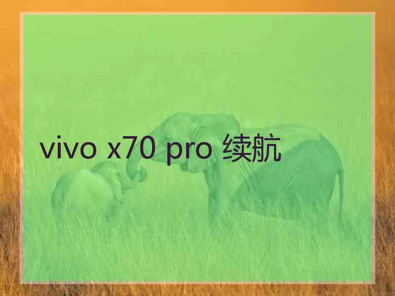 vivo x70 pro 续航