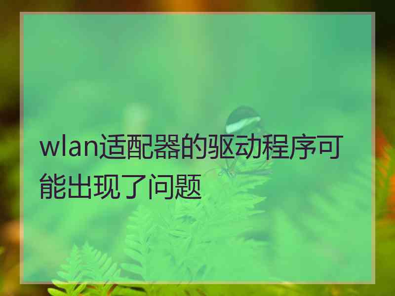 wlan适配器的驱动程序可能出现了问题