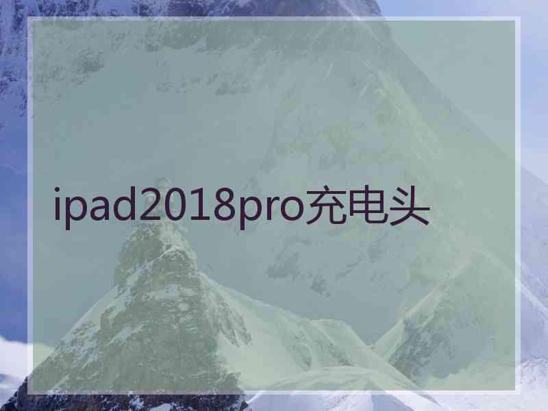 ipad2018pro充电头