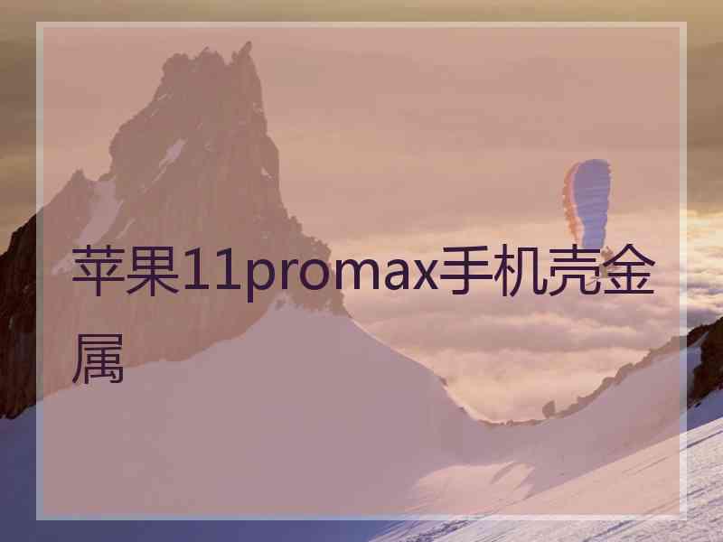 苹果11promax手机壳金属