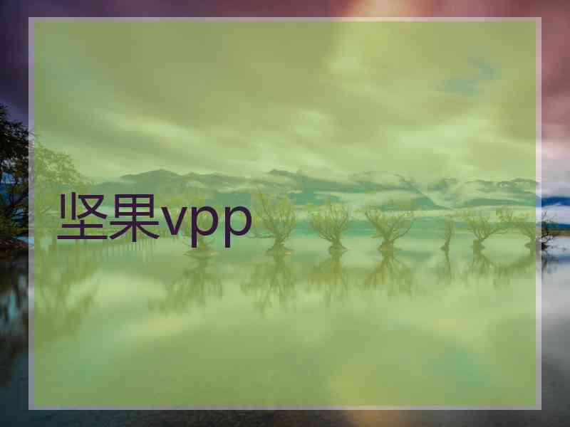 坚果vpp