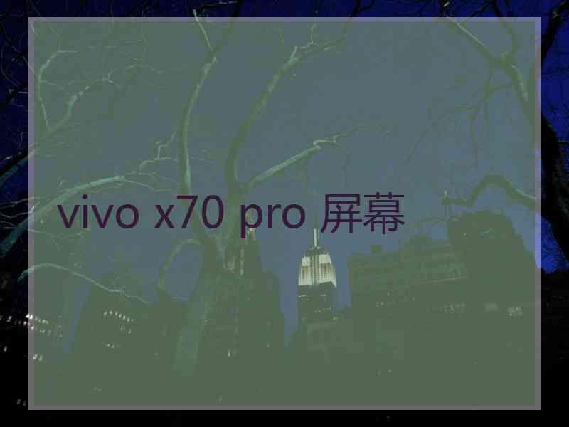 vivo x70 pro 屏幕