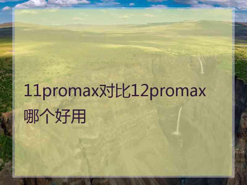 11promax对比12promax哪个好用