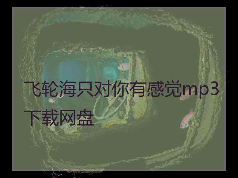 飞轮海只对你有感觉mp3下载网盘