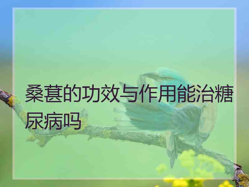 桑葚的功效与作用能治糖尿病吗