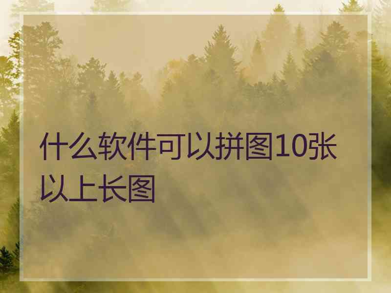 什么软件可以拼图10张以上长图