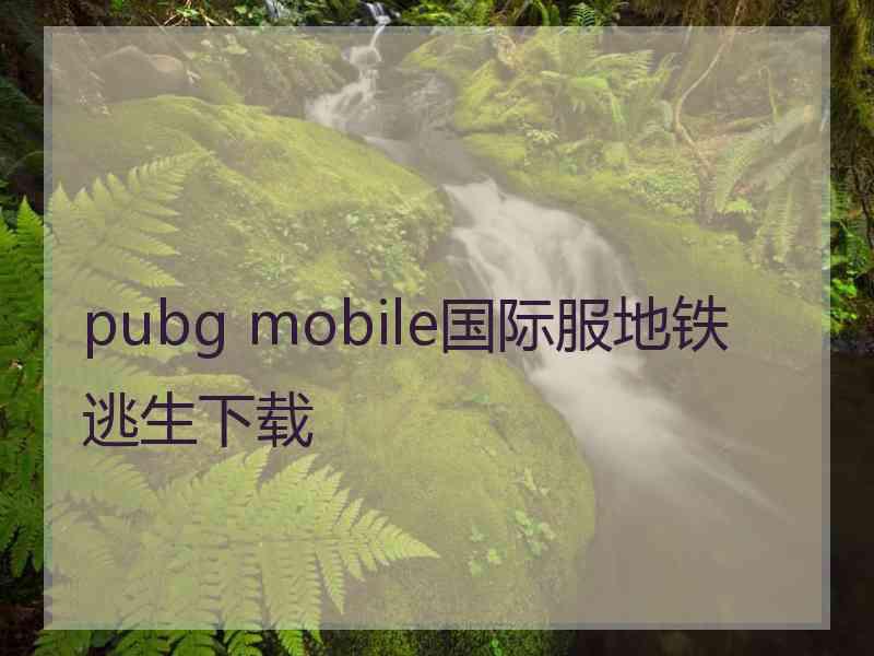 pubg mobile国际服地铁逃生下载