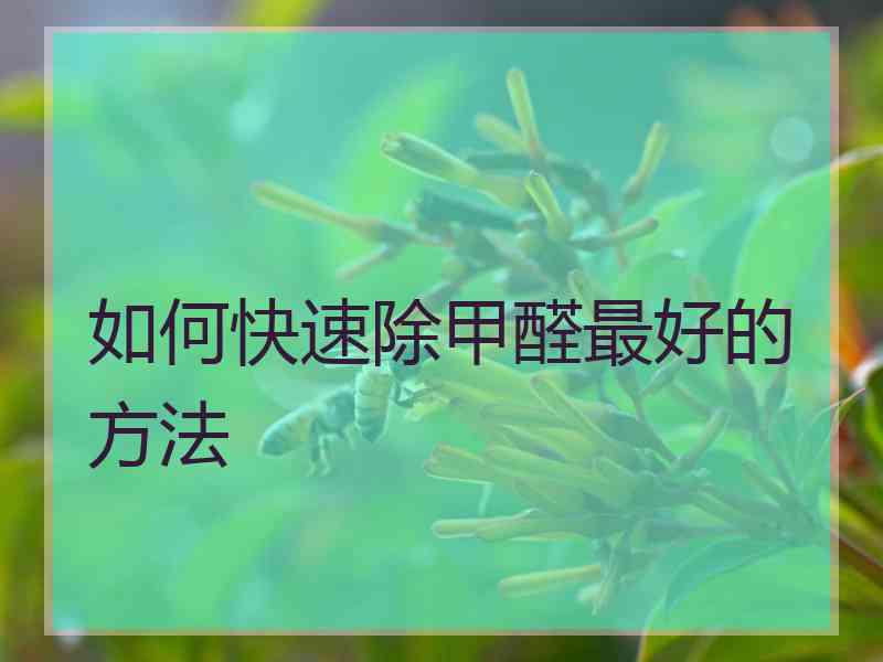 如何快速除甲醛最好的方法