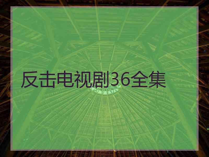 反击电视剧36全集