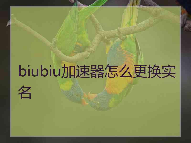 biubiu加速器怎么更换实名