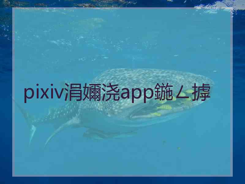 pixiv涓嬭浇app鍦ㄥ摢