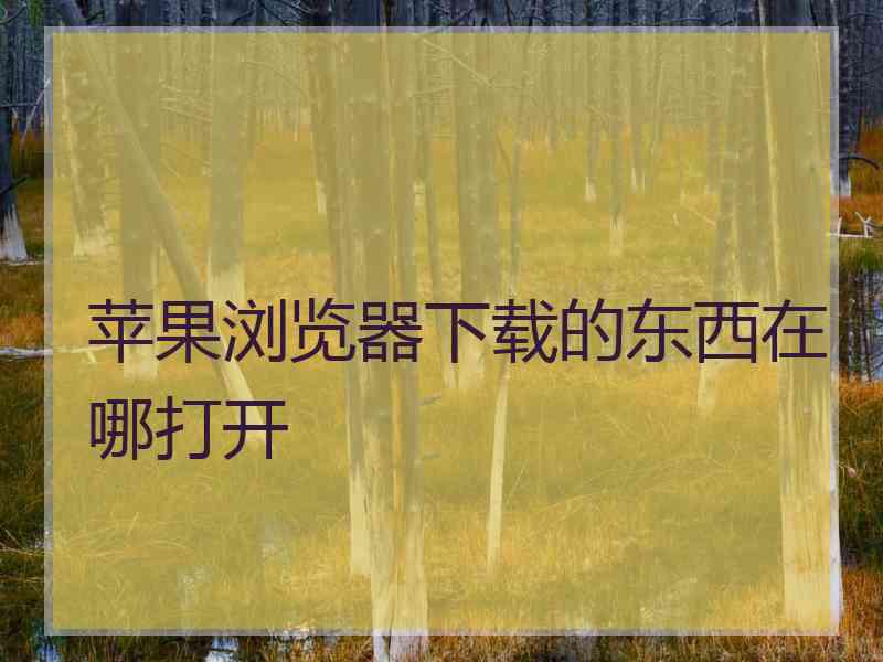 苹果浏览器下载的东西在哪打开