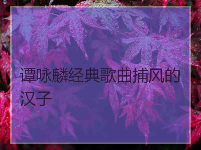 谭咏麟经典歌曲捕风的汉子