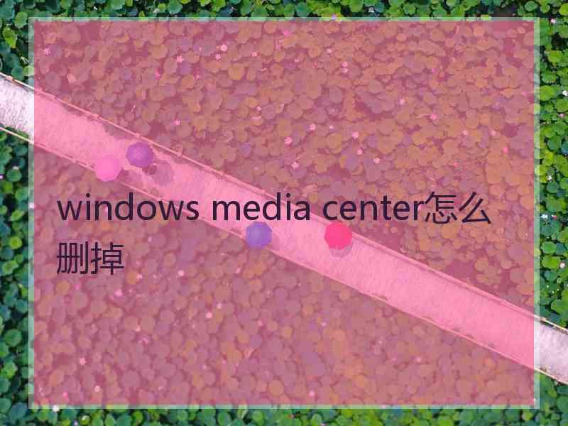 windows media center怎么删掉