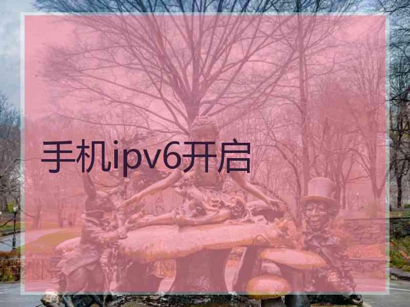 手机ipv6开启