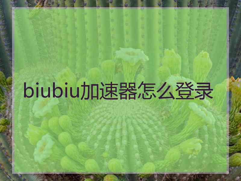 biubiu加速器怎么登录