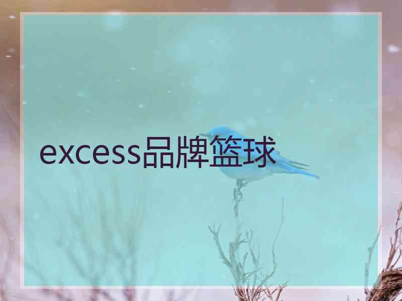 excess品牌篮球