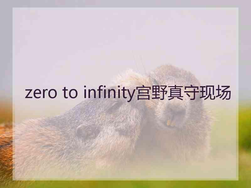 zero to infinity宫野真守现场