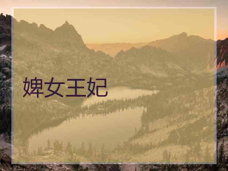 婢女王妃