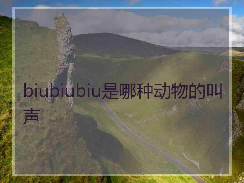 biubiubiu是哪种动物的叫声