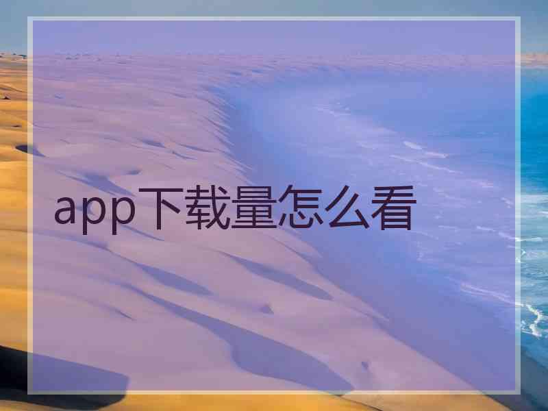 app下载量怎么看