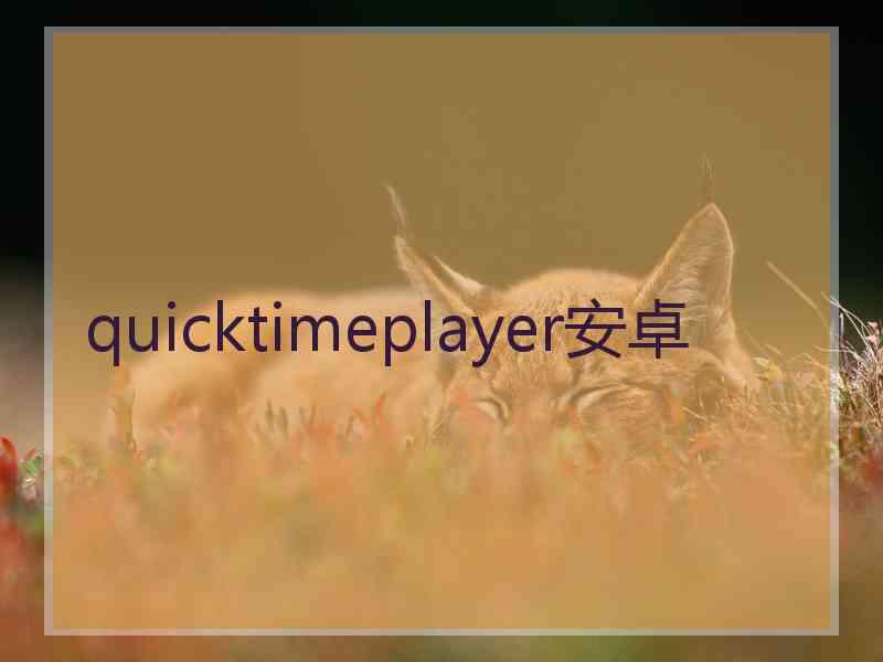 quicktimeplayer安卓